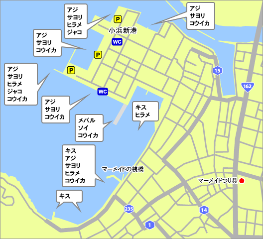 小浜新港周辺の釣りスポット